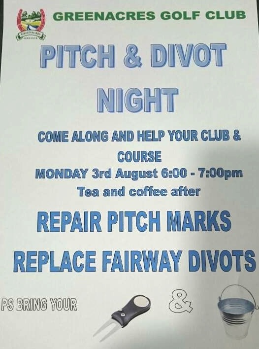 pitch and divot